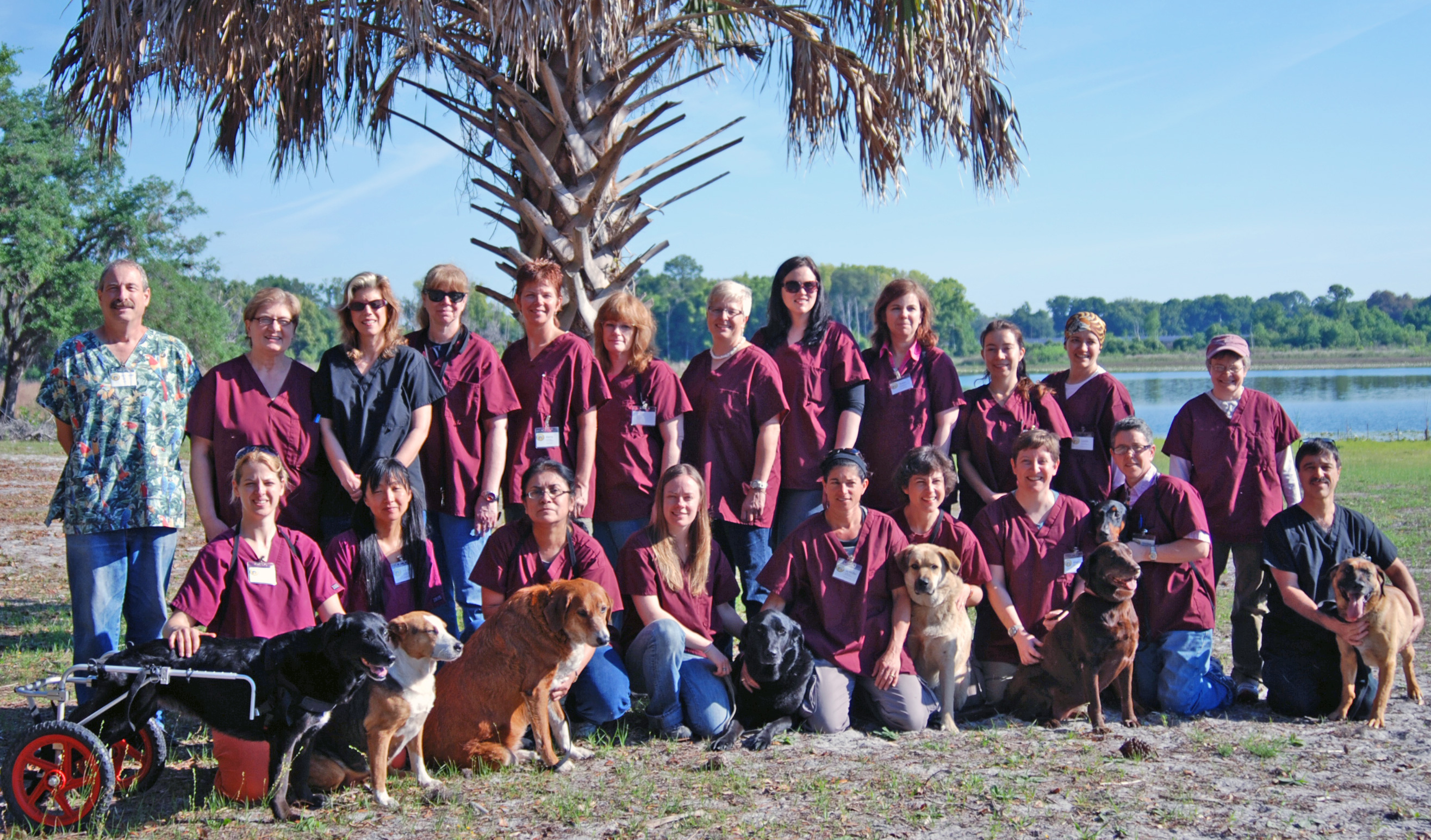 Students at canine behavior ARL at college's Dream Pond Science Field Station and Reserve in Crescent City FL USA